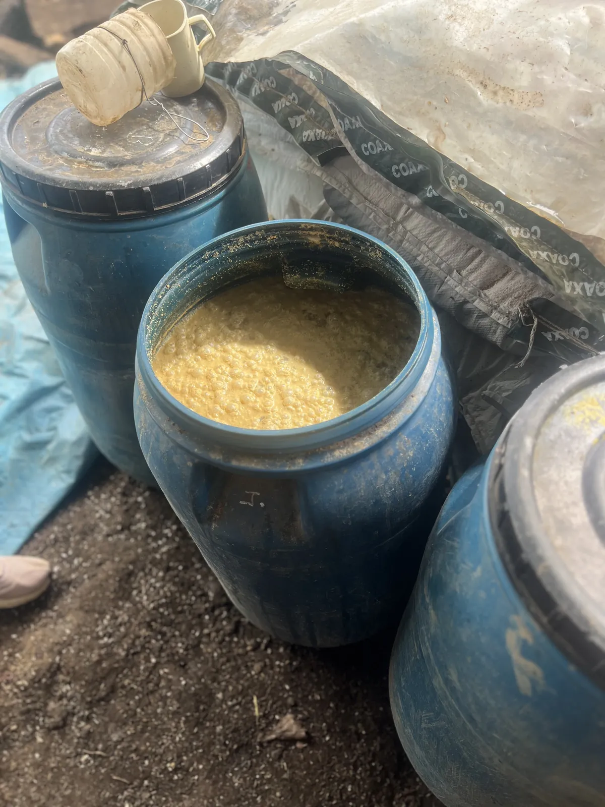 Productor frente a su vivero con bioinsumos