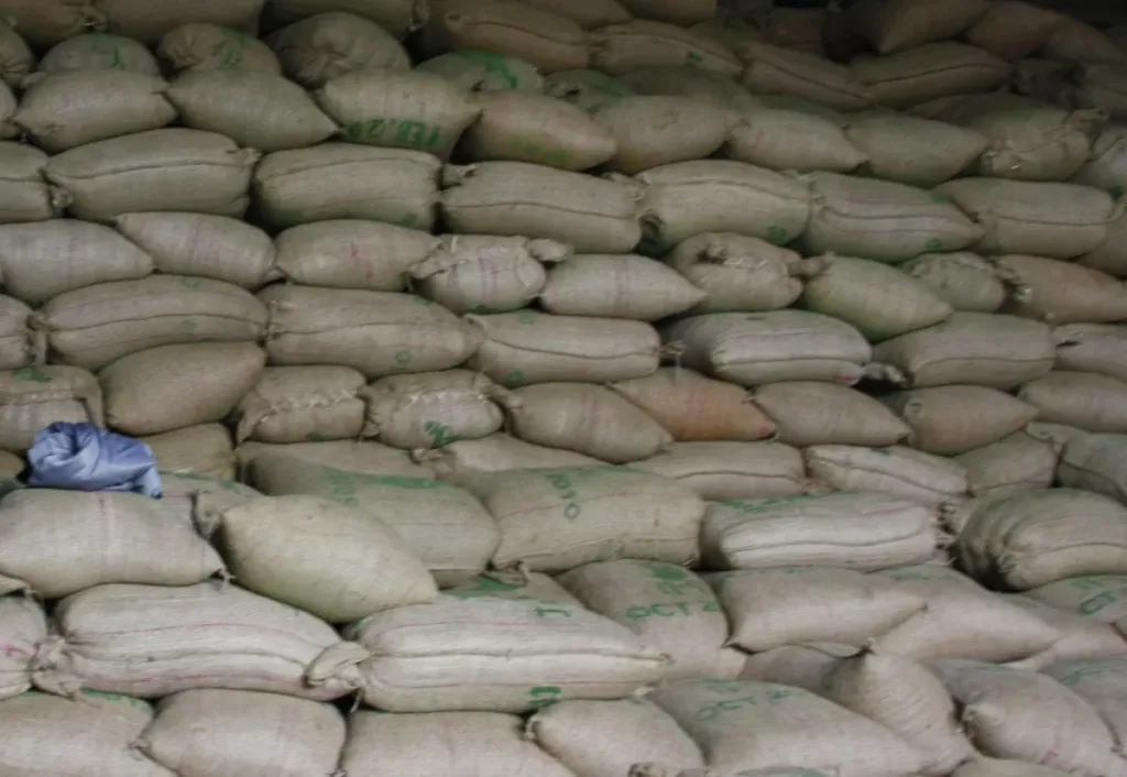 Almacén con sacos de yute de café verde listos para exportación