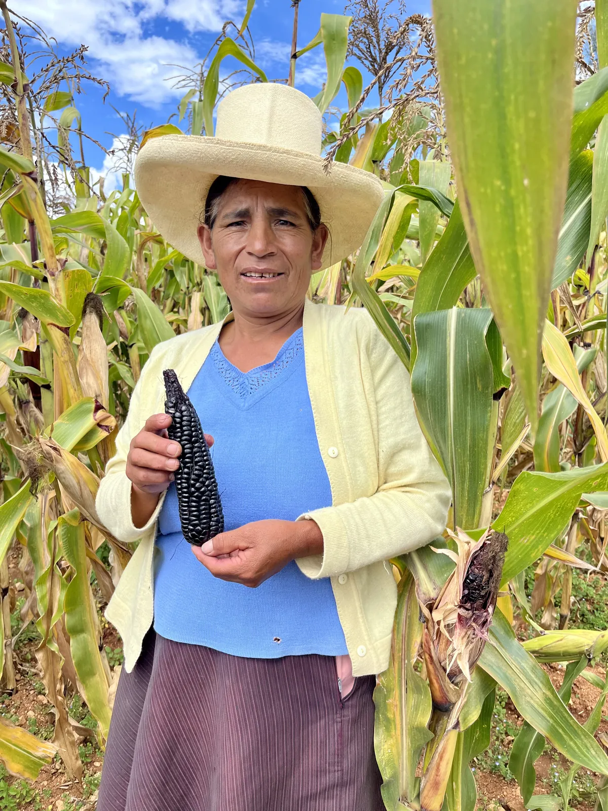 Productora mostrando su cosecha de maíz morado en la parcela